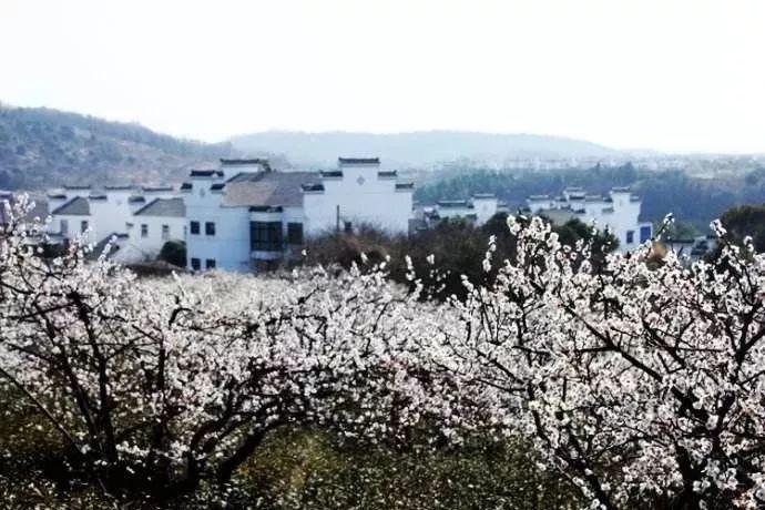 绿色猎人住宅逃生