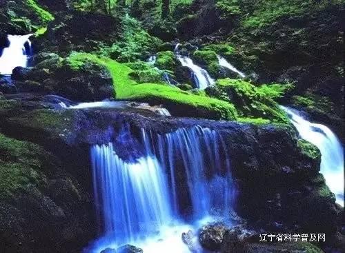 信用卡逾期了，银行直接拒绝协商，怎么办？？直接去银行找他们协商和电话协商，会不会结果是一样的？该怎游戏画面